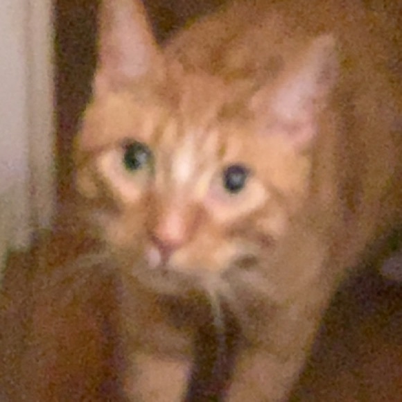 Profile Picture of James Mckernan (@bljames13) on Poshmark