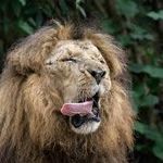 Profile Picture of ZimmermanCurtis388 (@zimmermancurtis388) on Instagram