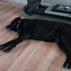 Profile Picture of Lori Lindstrom (@lori.lindstrom.12) on Facebook