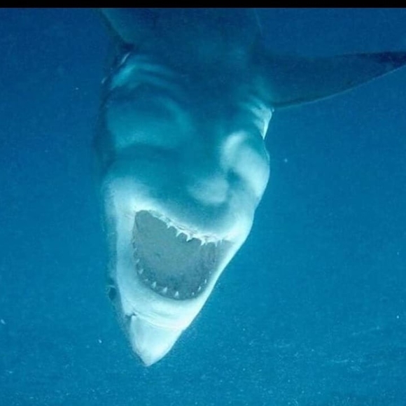 Profile Picture of Eli Velasquez (@eliv915) on Poshmark