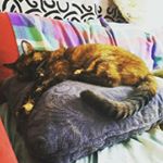 Profile Picture of vicki (@vicki_the_vegan) on Instagram