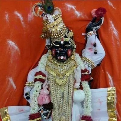 Profile Picture of Naresh Dave (@nareshd91611095) on Twitter