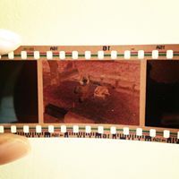 Profile Picture of Hanna Hussin (@hannahussin) on Pinterest