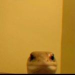 Jonluke Harmeyer - Instagram Profile Picture of Jonluke Harmeyer (@jluke22_) on Instagram