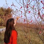 Profile Picture of Sherry Deng (@deng6833) on Instagram