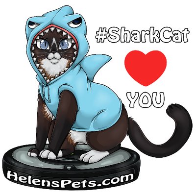 Profile Picture of Shark CAT Max-Arthur (@MAXtheRoombaCAT) on Twitter