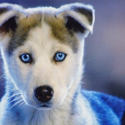 Profile Picture of Edward Fedorchak (@edward5213f) on Twitter