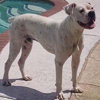 Profile Picture of Jerri Allen (@jerri-allen-2) on Quora