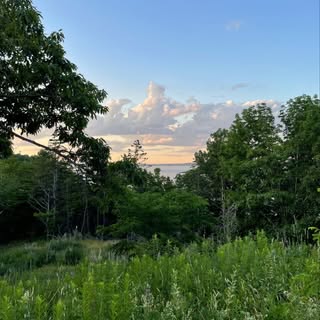 Profile Picture of Tess Kelly (@tess.kelly) on Instagram