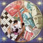 Profile Picture of Paul Relf (@paulrelf) on Instagram