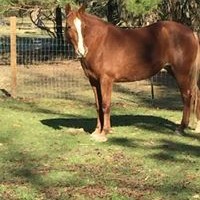 Profile Picture of William Bates (@william-bates-18) on Quora