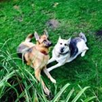 Profile Picture of Kevin Serafin (@sera123k) on Instagram