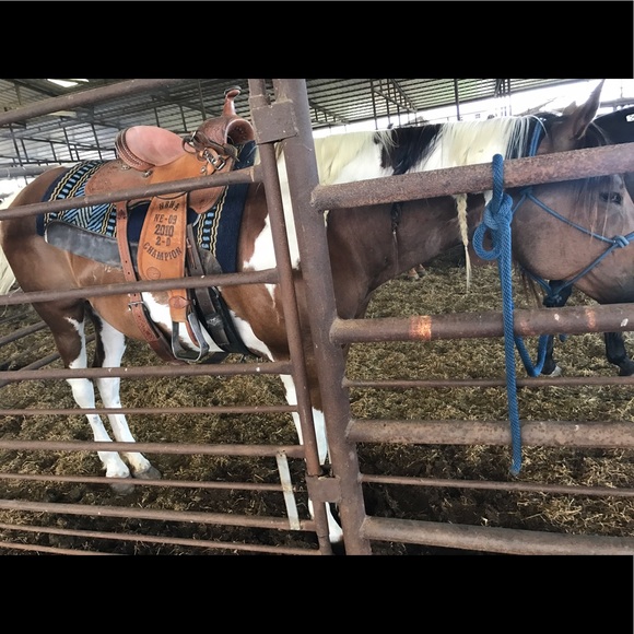 Profile Picture of Miranda Brinkley (@fancyscud) on Poshmark