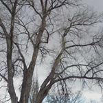 Profile Picture of Joanna Cuevas (@joannacuevasart) on Instagram