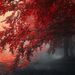 Profile Picture of Scott Schulte (@trinista) on Pinterest