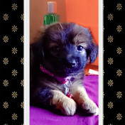 Profile Picture of Alvaro Aburto (@alvaroaburto9251) on Youtube