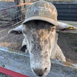 Profile Picture of zach mclaughlin (@zachmclaughlin7) on Instagram