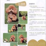 Profile Picture of Celena Craigwell (@celenacraigwell) on Instagram