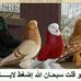Profile Picture of Robin Laha (@robin.laha.1) on Facebook
