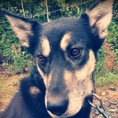 Profile Picture of Mike Barsky (@BarskyMike) on Twitter