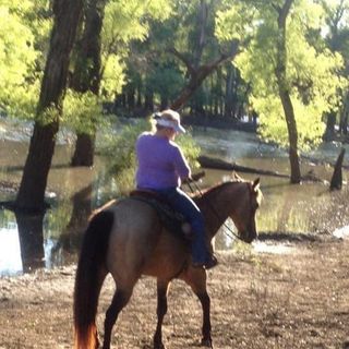 Profile Picture of Debbie Summers (@debbie_summers55) on Instagram