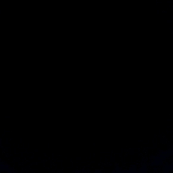 Profile Picture of Trace Tassie (@tracetassie) on Poshmark