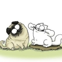 Profile Picture of Arely Ayala (@arely-ayala-4) on Quora