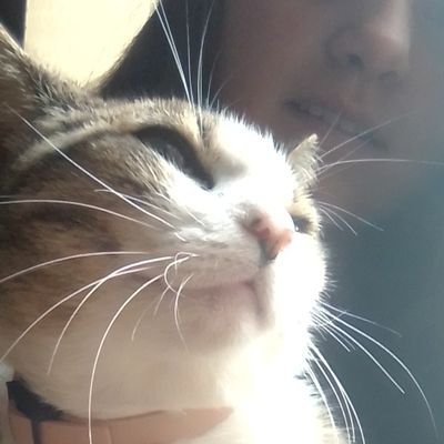 Profile Picture of Cassandra Et Raphaël (@et_raphael) on Twitter
