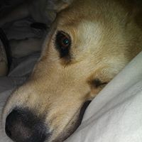 Daniela Pace - Quora Profile Picture of Daniela Pace (@daniela-pace-1) on Quora