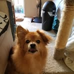 Profile Picture of Wicket Pond (@wicket.pond) on Facebook