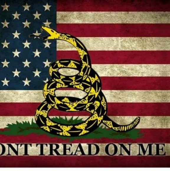 Profile Picture of Tom Bechmann (@tombechmann) on Poshmark