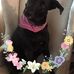 Profile Picture of Donna Weimer (@donna.weimer1) on Facebook