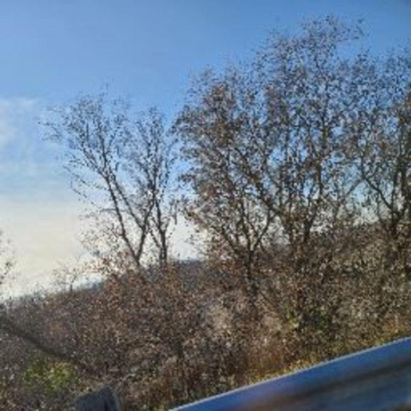 Profile Picture of Huda Hasum (@hudahasum) on Poshmark