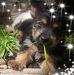 Profile Picture of Shawn Traynor (@shawn.traynor.9) on Facebook