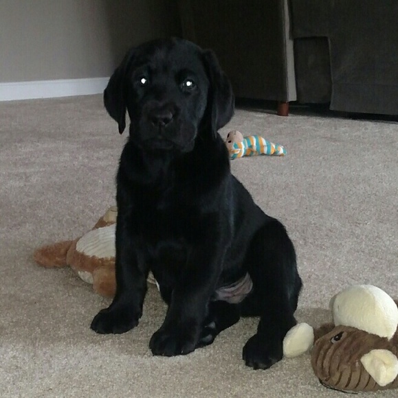 Profile Picture of Cara Prindiville (@caraelizabeth14) on Poshmark