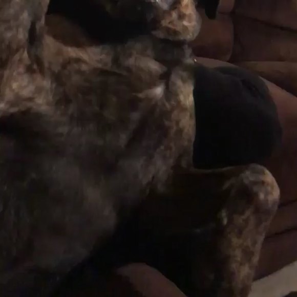 Profile Picture of Angela Gathmann (@dfghgfh) on Poshmark