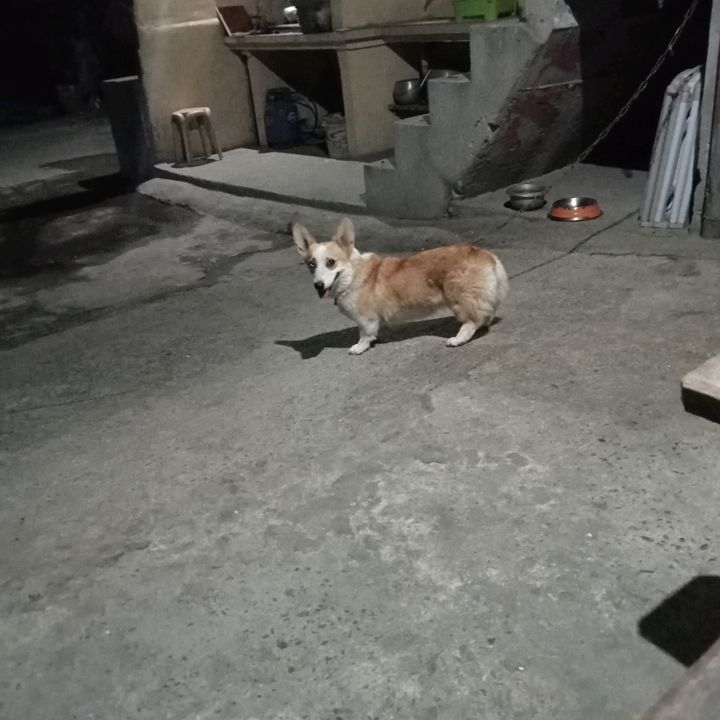 Profile Picture of Gladen Ellis (@josephsilaras) on Tiktok