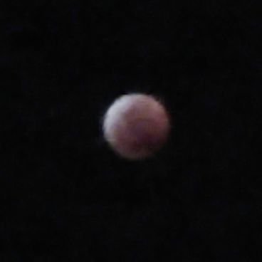 Profile Picture of Doug Hines (@HinesD60) on Twitter