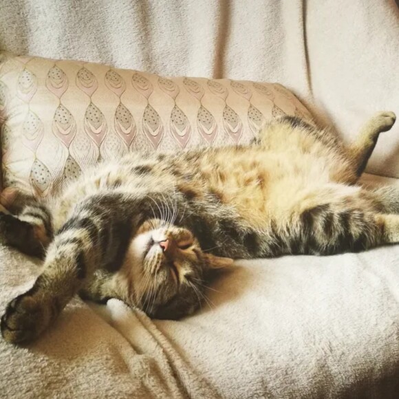 Profile Picture of Earl adam Stewart (@stewart_earl) on Poshmark