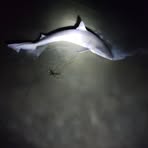 Profile Picture of Zach Hoglund (@zach.hoglund.2025) on Facebook