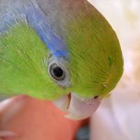 Profile Picture of Remembering Kermit Wilson (@remembering-kermit-wilson) on Quora