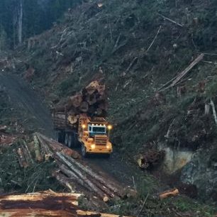 Profile Picture of Matthew Snowdon (@MatthewSnowdon8) on Twitter