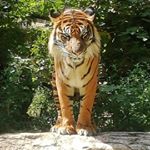 Profile Picture of Steven Jefferies (@jefferies742) on Instagram