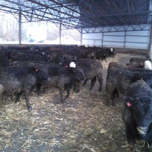 Profile Picture of Dave Eis (@Eisnav) on Twitter