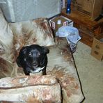 Profile Picture of John Gerards (@John-Gerards) on Facebook