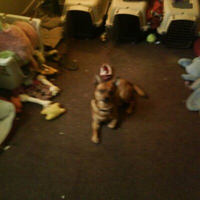 Profile Picture of Stephen  Kujawski (@ucfsgk74) on Twitter