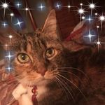 Profile Picture of Marianne Manning (@mmannin9) on Instagram