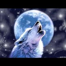 Profile Picture of Jesse Wilkerson (@JesseWilkerson7) on Twitter