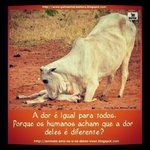 Stephen Tynes - Instagram Profile Picture of Stephen Tynes (@stephentynes) on Instagram