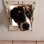Profile Picture of Sherry Foster Ritter (@wealdburhmorrora) on Instagram